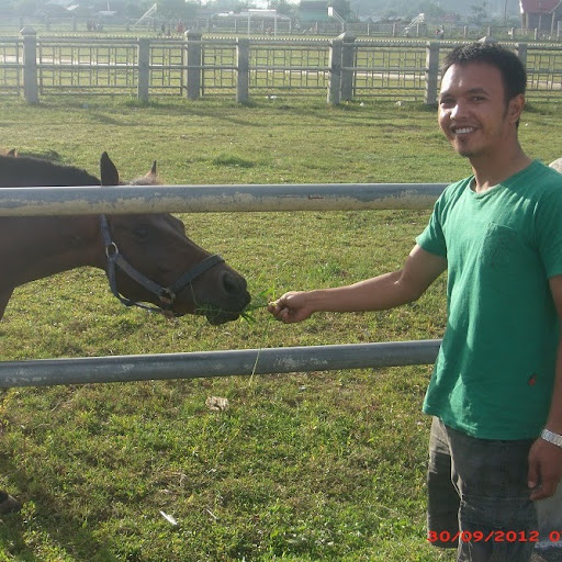 Harga Harga Bahan Bangunan 2014