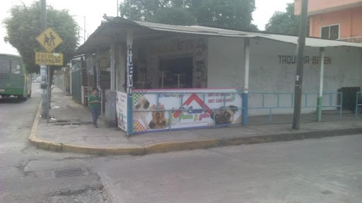 Como Perros y Gatos, Libertad 536, La Piragua, 68300 San Juan Bautista Tuxtepec, Oax., México, Cuidado de mascotas | OAX