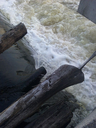 Tourist Attraction «Fish Ladder Park Grand Rapids», reviews and photos, 560 Front Ave NW, Grand Rapids, MI 49504, USA