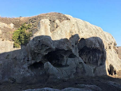 Nature Preserve «Elephant Rock», reviews and photos, 2997-3261 Dillon Beach Rd, Tomales, CA 94971, USA