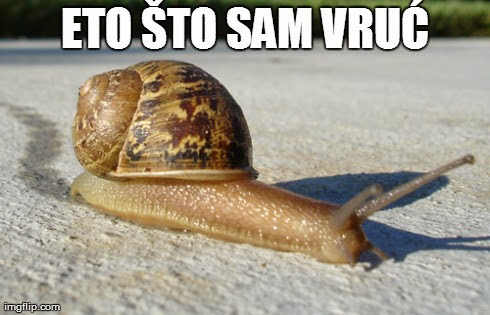 Slika