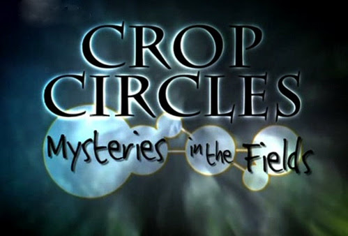 Kręgi w zbożu / Crop Circles Mysteries in the Field (2002) PL.TVRip.XviD / Lektor PL Kręgi w zbożu / Crop Circles Mysteries in the Field (2002) PL.TVRip.XviD / Lektor PL