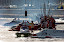 Doha - Qatar - 29 March, 2008 - The day of the race of the GP of Qatar. The final results are: Jonas Anderson F1 Sweden is the winner, Jay Price Qatar Team second and therd David Trask XPV Racing. This GP is the 1th leg of the UIM F1 Powerboat World Championship 2008. Picture by Vittorio Ubertone/Idea Marketing. Doha - Qatar - 29 March, 2008 - The day of the race of the GP of Qatar. The final results are: Jonas Anderson F1 Sweden is the winner, Jay Price Qatar Team second and therd David Trask XPV Racing. This GP is the 1th leg of the UIM F1 Powerboat World Championship 2008. Picture by Vittorio Ubertone/Idea Marketing.