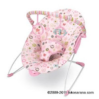 1 Bright Starts #: 6952 Pretty In Pink™ Butterfly Blossoms™ Cradling Bouncer