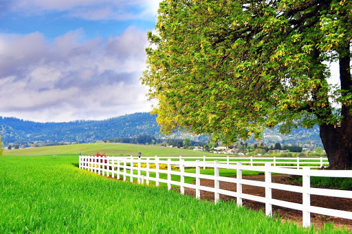 Farm view by Corvallis-Albany Hwy 20 in Oregon, USA
