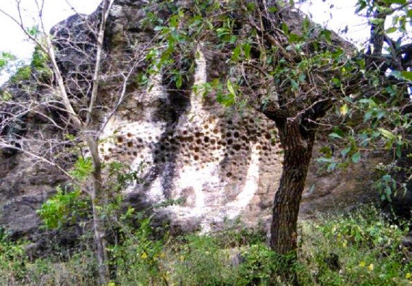 Prehistoric rock art sites under threat in India Prehistoric rock art sites under threat in India