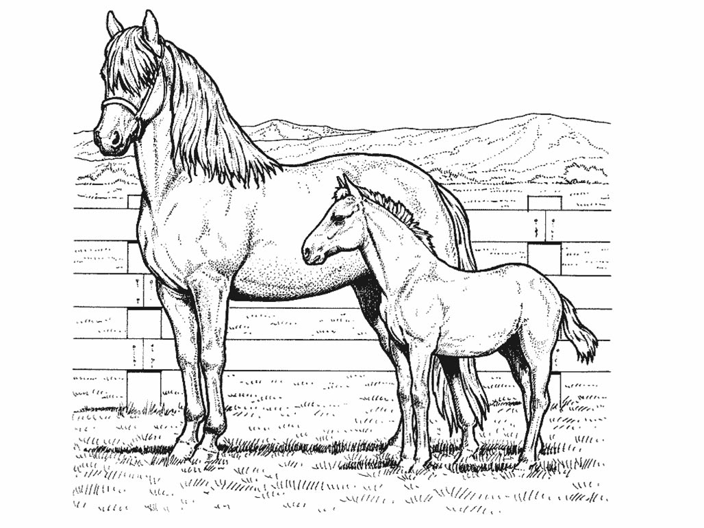 Horses coloring pages printable games free coloring pages