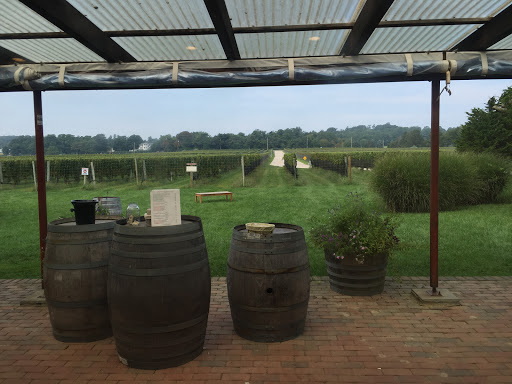 Winery «Channing Daughters Winery», reviews and photos, 1927 Scuttle Hole Rd, Bridgehampton, NY 11932, USA