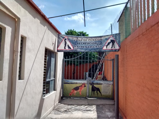Centro Integral Canino, Av Acozac 6, Santa Barbara, 56538 Ixtapaluca, Méx., México, Adiestrador canino | EDOMEX