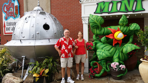 Miniature Golf Course «Alien Vacation 3D Mini Golf Attraction at Castle Noel», reviews and photos, 260 S Court St, Medina, OH 44256, USA