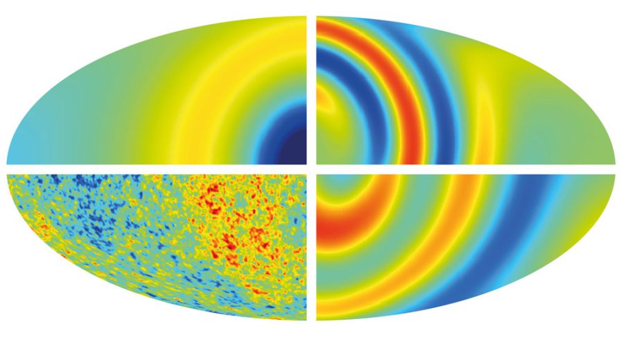 Cosmology safe as universe has no sense of direction Cosmology safe as universe has no sense of direction