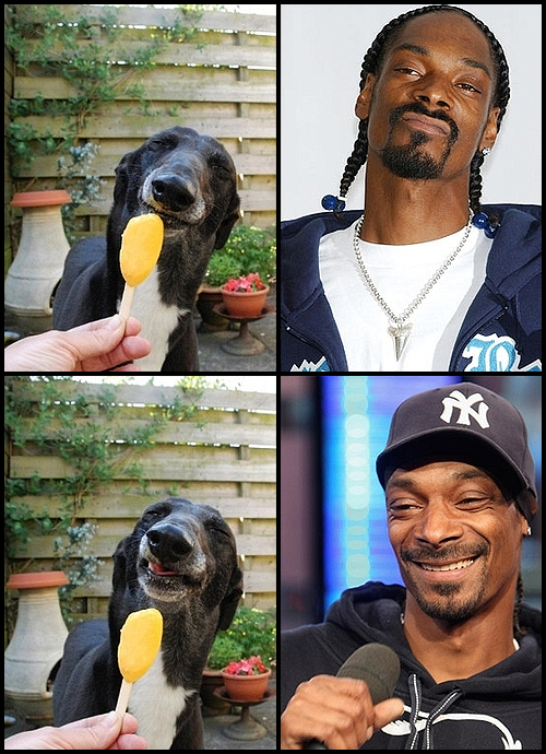 snoopdogg Sorria, Snoop Dogg