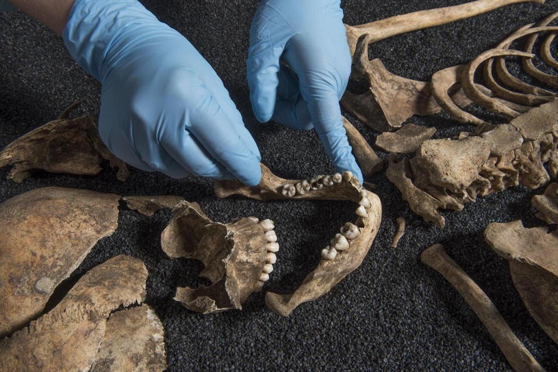 Two ancient Chinese skeletons found in London Roman cemetery Two ancient Chinese skeletons found in London Roman cemetery