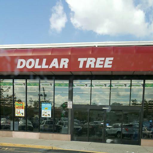 Dollar Store «Dollar Tree», reviews and photos, 24 Portland Ave, Bergenfield, NJ 07621, USA