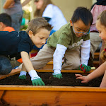Many of our schools have gardens that the children plant themselves. Botany lessons then take place outside as students observe plants grown--and harvesting is integrated into cooking and the study of the fundamental needs of man.
