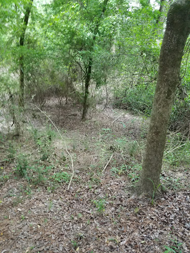 Nature Preserve «Spring Creek Greenway Nature Center», reviews and photos, 1300 Riley Fuzzel Rd, Spring, TX 77386, USA