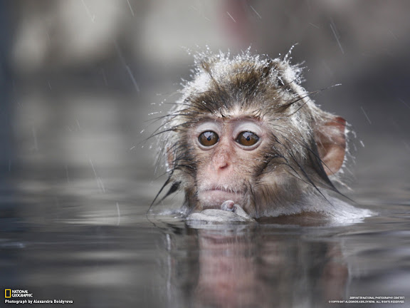  National Geographic