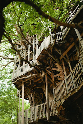 The World's Tallest Treehouse Seen On www.coolpicturegallery.us Minister's Treehouse Seen On www.coolpicturegallery.us
