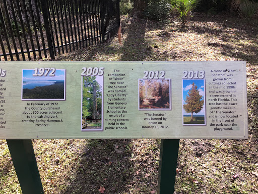 Park «Big Tree Park», reviews and photos, 761 General Hutchison Pkwy, Longwood, FL 32750, USA