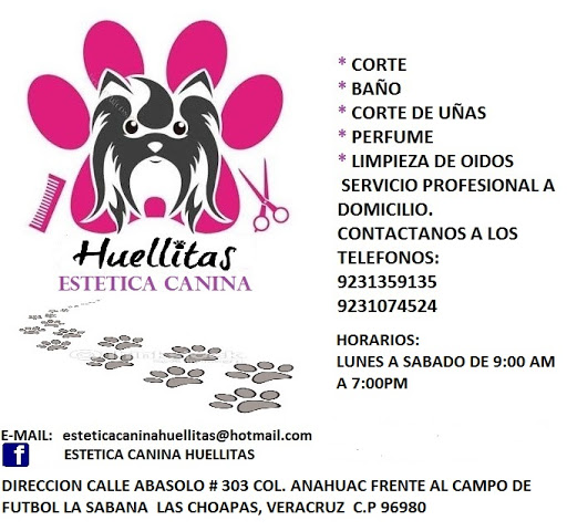 ESTETICA CANINA HUELLITAS, Hidalgo 107, Centro, 96980 Las Choapas, Ver., México, Cuidado de mascotas | VER