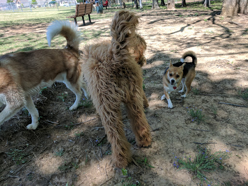 Dog Park «Freedom Dog Park», reviews and photos, 2675 Trophy Park Dr, Roanoke, TX 76262, USA