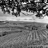 21 aprile 2014 Castiglione Tinella - fotografia di Vittorio Ubertone