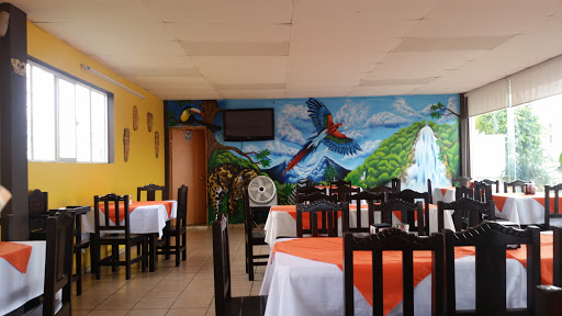 Mar y Tierra, Chiapas 226, Chichima Concepción, Salubridad, 30098 Comitán de Domínguez, Chis., México, Restaurante de brunch | CHIS