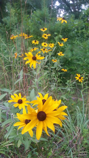 Museum «Harry C Barnes Memorial Nature Center», reviews and photos, 175 Shrub Rd, Bristol, CT 06010, USA