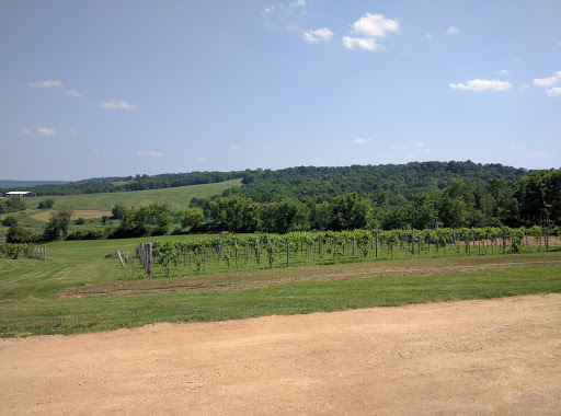 Winery «Fergedaboudit Vineyard & Winery», reviews and photos, 4595 W Speer Rd, Hanover, IL 61041, USA