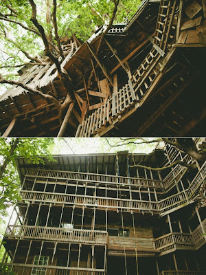 The World's Tallest Treehouse Seen On www.coolpicturegallery.us Minister's Treehouse Seen On www.coolpicturegallery.us