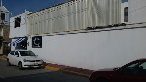 Escuela de Natación Tiburón Blanco, Estrella 100B, Providencia, 78434 Soledad de Graciano Sánchez, S.L.P., México, Club de natación | SLP