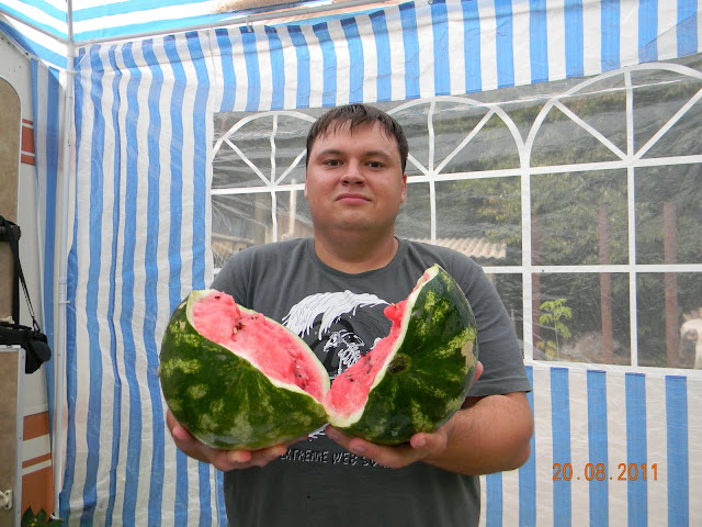 [Зображення: DSCN2433.JPG]