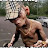 Lasse Wennerstrand