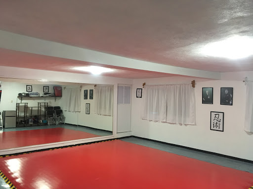 Centro de Artes Marciales Japonesas, Segunda Cerrada de Empedradillos, 17, San Diego, 56200 Texcoco de Mora, Méx., México, Escuela de artes marciales | EDOMEX