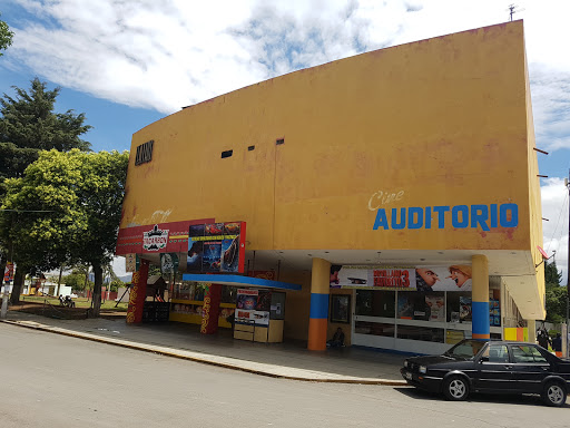 Cine-Teatro Auditorio, Rodrigo Gómez, Carros, 43990 Cd Sahagún, Hgo., México, Teatro | HGO