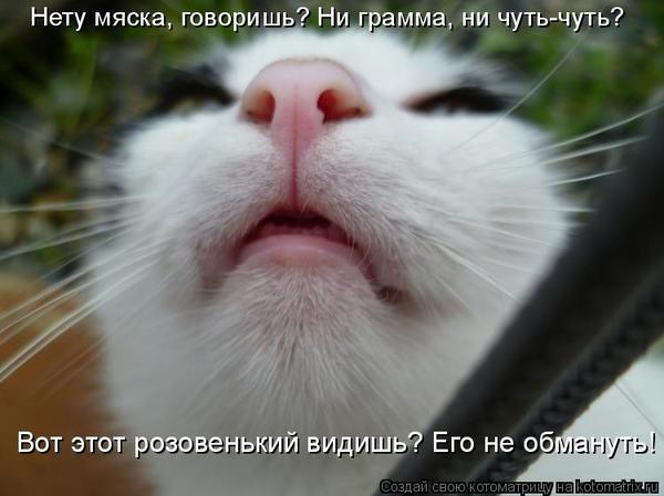 Морщины на лбу у детей Морщины на лбу у детей