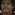Todd
