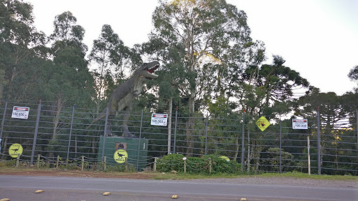 Parque Vale Dos Dinossauros, R. José Pedro Piva, 1272 - Bosque Sinoserra, Canela - RS, 95680-000, Brasil, Atração_Turística, estado Rio Grande do Sul