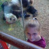 While J&L were are camp, M&B went to the zoo. Pandas are a big fave at Zoo Atlanta. While J&L were are camp, M&B went to the zoo. Pandas are a big fave at Zoo Atlanta.