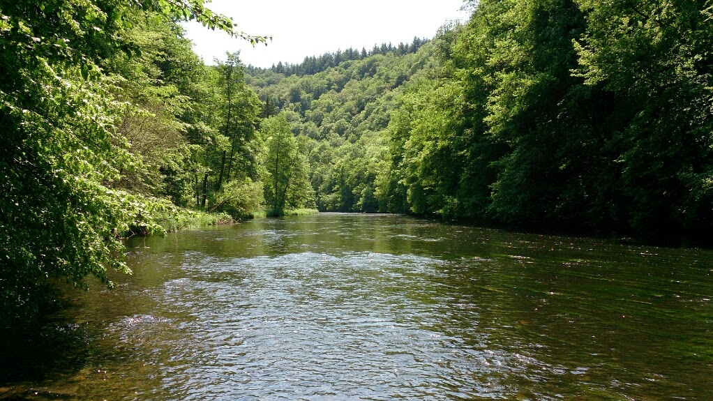 Ourthe le 12/06... grande rivière petits poissons :) %5BUNSET%5D