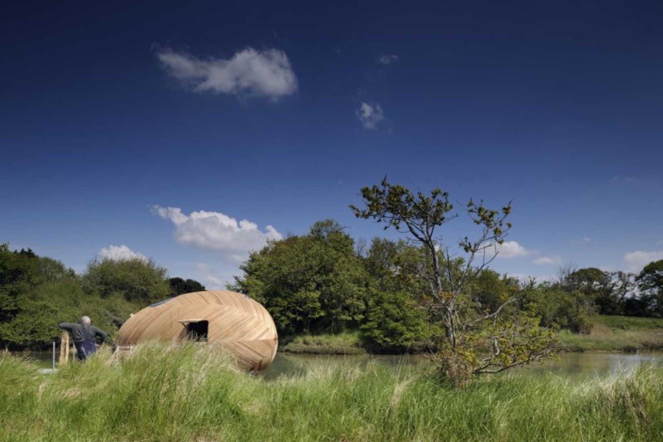 Exbury Egg by Stephen Turner