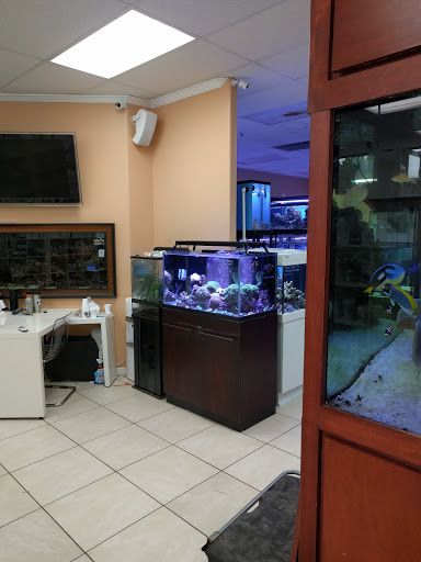 Aquarium «Mid-Cities Aquariums», reviews and photos, 1301 W Glade Rd, Euless, TX 76039, USA