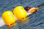 Saint Petersburg-July 11, 2010- The Race of Russia's GP. The winner is Sami Selio Mad Croc Team, second Alex Carella of Mad Croc Team and third Jay Price of Qatar Team. This GP is the 2st race of the UIM F1 Powerboat Grand Prix season for 2010. Picture by Vittorio Ubertone/Idea Marketing Saint Petersburg-July 11, 2010- The Race of Russia's GP. The winner is Sami Selio Mad Croc Team, second Alex Carella of Mad Croc Team and third Jay Price of Qatar Team. This GP is the 2st race of the UIM F1 Powerboat Grand Prix season for 2010. Picture by Vittorio Ubertone/Idea Marketing