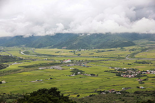 花蓮 六十石山 下望稻田 (18)