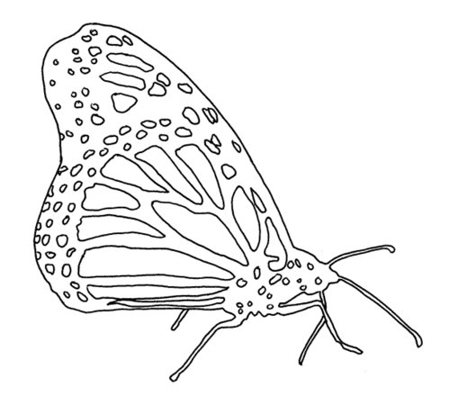Kids-Butterfly printables, crafts, coloring pages, clip art on - monarch butterfly coloring pages