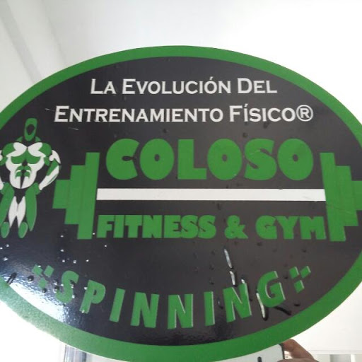 Coloso Gym, Olivo 3-200, Barrio del San Juan, 93400 Papantla de Olarte, Ver., México, Gimnasio | VER