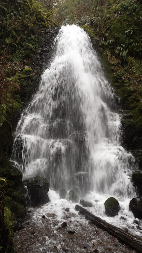 Tourist Attraction «Fairy Falls», reviews and photos, Wahkeena Trail #420, Corbett, OR 97019, USA