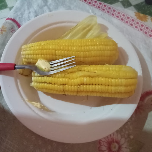 Minha foto