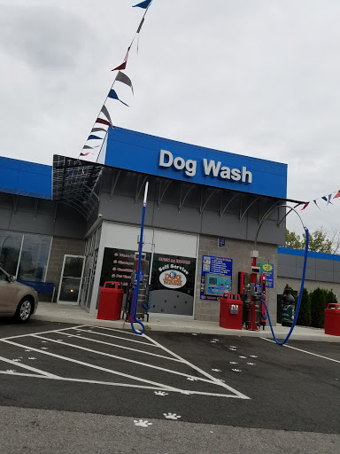 Car Wash «Foam & Wash Car Wash, Dog Wash & Laundromat», reviews and photos, 1520 U.S. 9, Wappingers Falls, NY 12590, USA