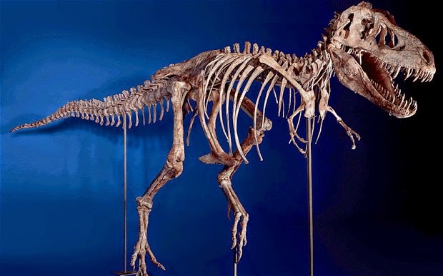 Dinosaur smuggler jailed for three months Dinosaur smuggler jailed for three months
